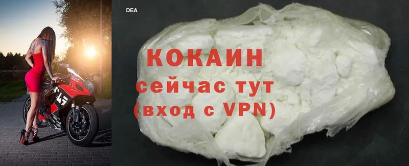 где продают наркотики  KRAKEN зеркало  Cocaine Fish Scale  Белая Холуница 