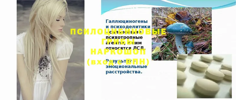 купить наркотик  ОМГ ОМГ маркетплейс  Галлюциногенные грибы Psilocybe  Белая Холуница 