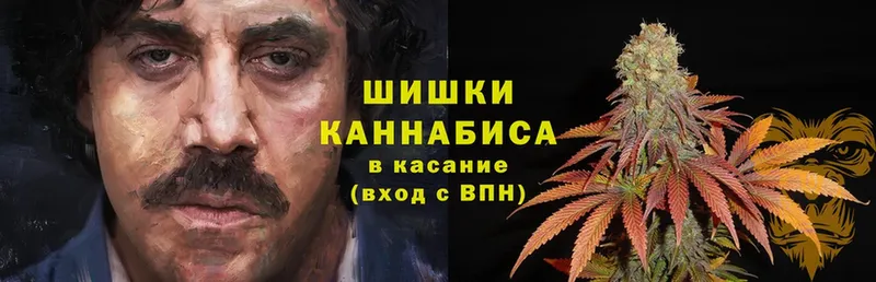 где продают наркотики  Белая Холуница  Конопля Amnesia 